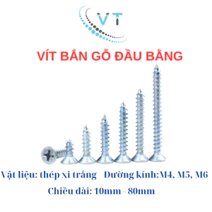 100g vít trắng mạ kẽm 4mm bắt nở (tắc kê) nhựa bắn vào tường, gỗ, nhựa đủ kích cỡ - 100g