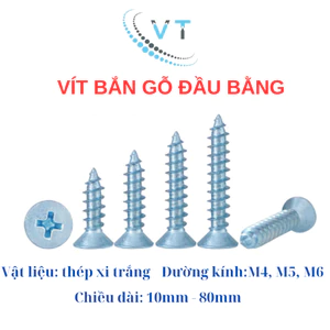 Vít trắng mạ kẽm bắt nở nhựa, tắc kê nhựa bắn vào tường, gỗ, nhựa đủ kích cỡ (100 con)