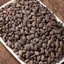 Nữ trinh tử 100g, quả nữ trinh khô, sạch, không lẫn tạp chất - Tiệm lãn ông