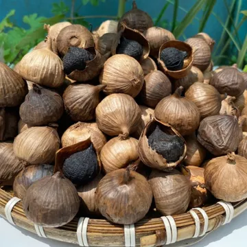 500 gram tỏi đen CÔ ĐƠN ăn ngọt dẻo không hăng lên men tự nhiên 60 ngày theo công nghệ nhật bản