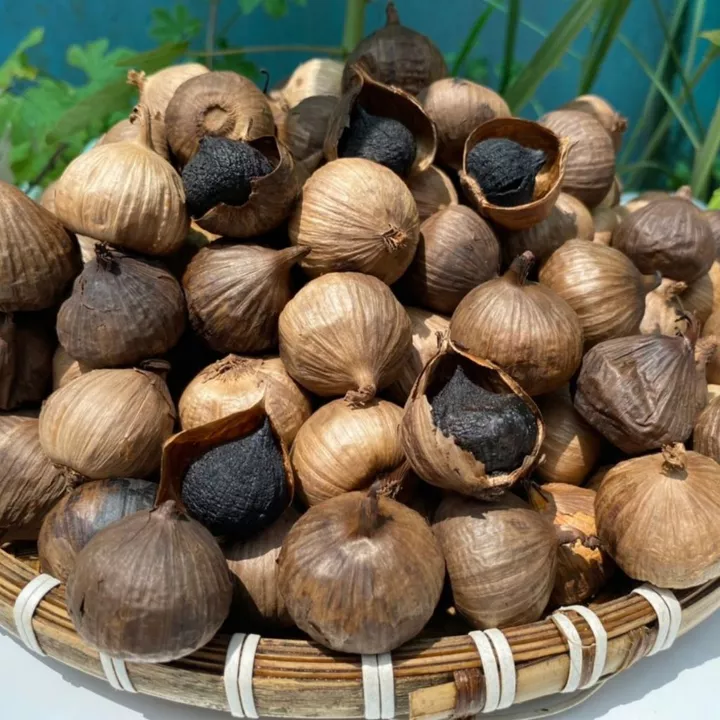 500 gram tỏi đen CÔ ĐƠN ăn ngọt dẻo không hăng lên men tự nhiên 60 ngày theo công nghệ nhật bản