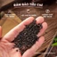 Phá cố chỉ 100g, bổ cốt chỉ khô, sạch, thơm, giúp bổ thận tráng dương, giảm đau nhức xương khớp