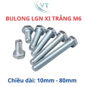Bulong mạ kẽm M6 (10 - 80mm) (Túi 50 con)