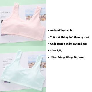 SET 3 Áo lót học sinh dây bản to không đệm mút chất cotton thoáng khí mát mẻ basic cute DEVARI B508