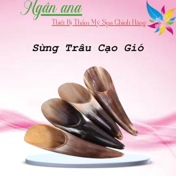 Dụng Cụ Cạo Gió, Day Ấn Huyệt Sừng Trâu | Massage Dụng Cụ Diện Chẩn Chuyên Dụng Dành Cho Dưỡng Sinh