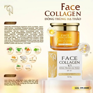 Kem Face Ngày - Cam Thảo 15g CollgenX3 Đông Anh Chính Hãng