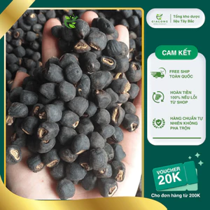Hạt Chuối Hột Rừng Cô Đơn Loại 1 Túi 1kg
