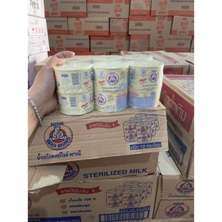 ( COMBO 12 ) Sữa Gấu Nestle Thái Lan 140ml Hỗ Trợ Tăng Cân Tăng Chiều Cao Cho Bé- CÔ THƯ MARKET
