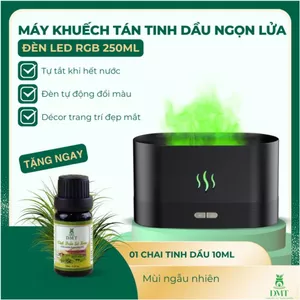 Máy xông tinh dầu phòng khách ngọn lửa DMT, máy khuếch tán tinh dầu, xông tinh dầu thơm phòng 150ml