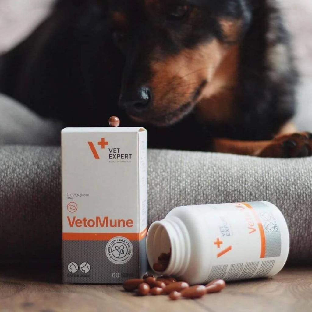 Viên tăng cường miễn dịch cho chó mèo VetoMune Vet Expert Pet Love Premium