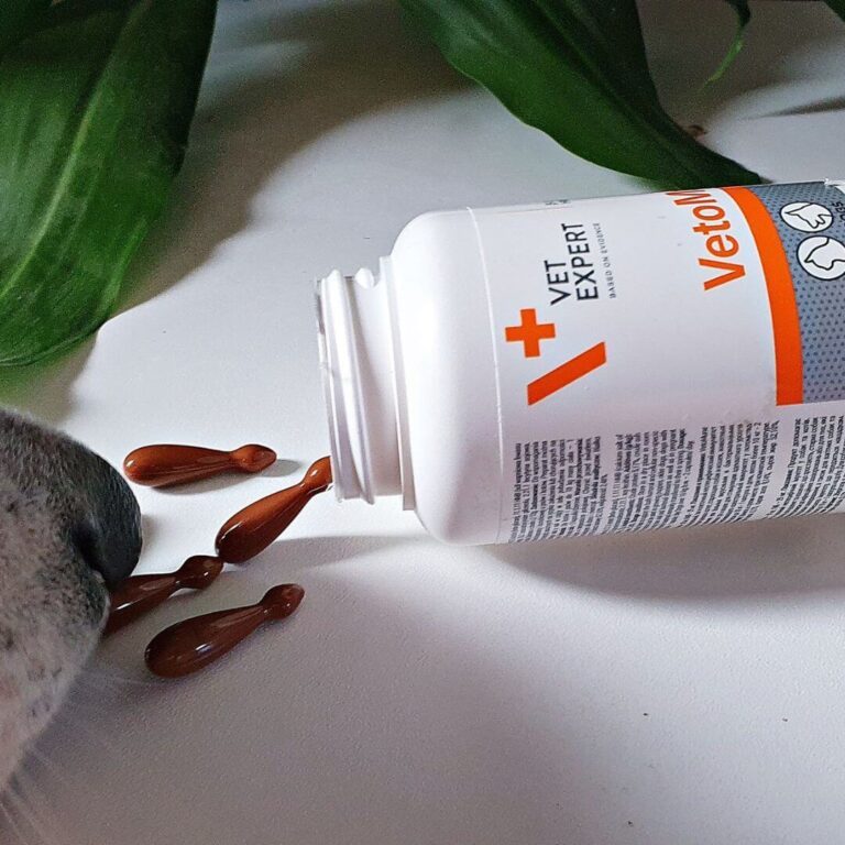 Viên tăng cường miễn dịch cho chó mèo VetoMune Vet Expert Pet Love Premium
