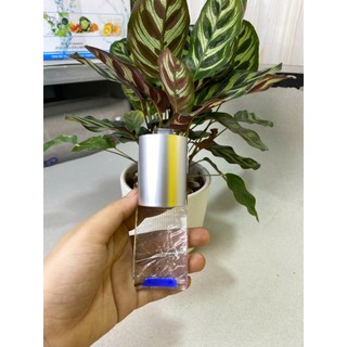 Vòi Cây Nước Nóng Lạnh Toshiba, Sharp Và AQua [Hàng chính hãng] [Có khóa an toàn trẻ em)