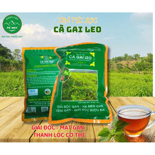 Trà Túi Lọc Cà Gai Leo Pù Mát - Giải Độc Gan, Thanh Lọc Cơ Thể Gói 50 túi x 5g