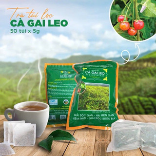 Trà Túi Lọc Cà Gai Leo Pù Mát - Giải Độc Gan, Thanh Lọc Cơ Thể Gói 50 túi x 5g