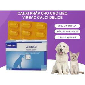 Canxi Pháp Cho Chó Mèo VirBac CalXi Delice Chống Hạ Bàn Cụp Tai