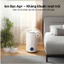 Máy Phun Sương Tạo Ẩm Qcooko , CHIGO Máy Tạo Ẩm Dung Tích 5L, Ngắt Khi Hết Nước, Phun Sương Đều Công suất 30W