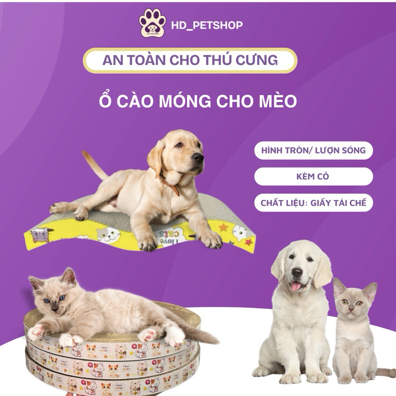 Ổ CÀO MÓNG CHO MÈO HÌNH TRÒN/ LƯỢN SÓNG KÈM CỎ