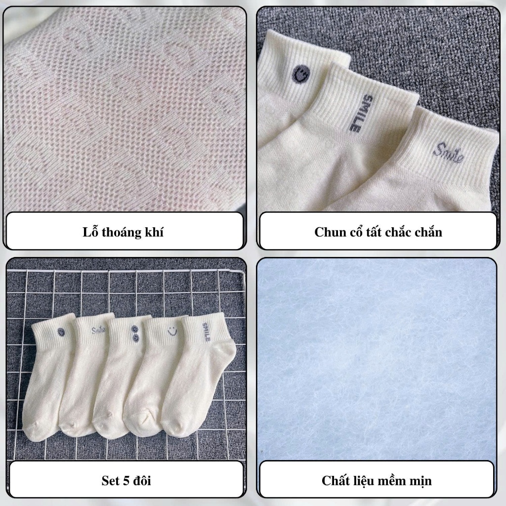 Tất vớ nữ set 5 đôi màu vàng nhạt họa tiết basic, chất liệu mềm mịn thoáng khí - Ekiu Shop