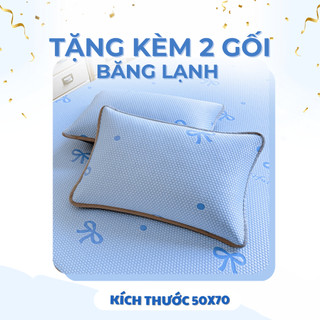 Chiếu điều hòa băng lạnh bọc chun họa tiết M2T BEDDING mềm - mịn - mát, không mùi, không mủn, không bụi - Kèm 2 vỏ gối