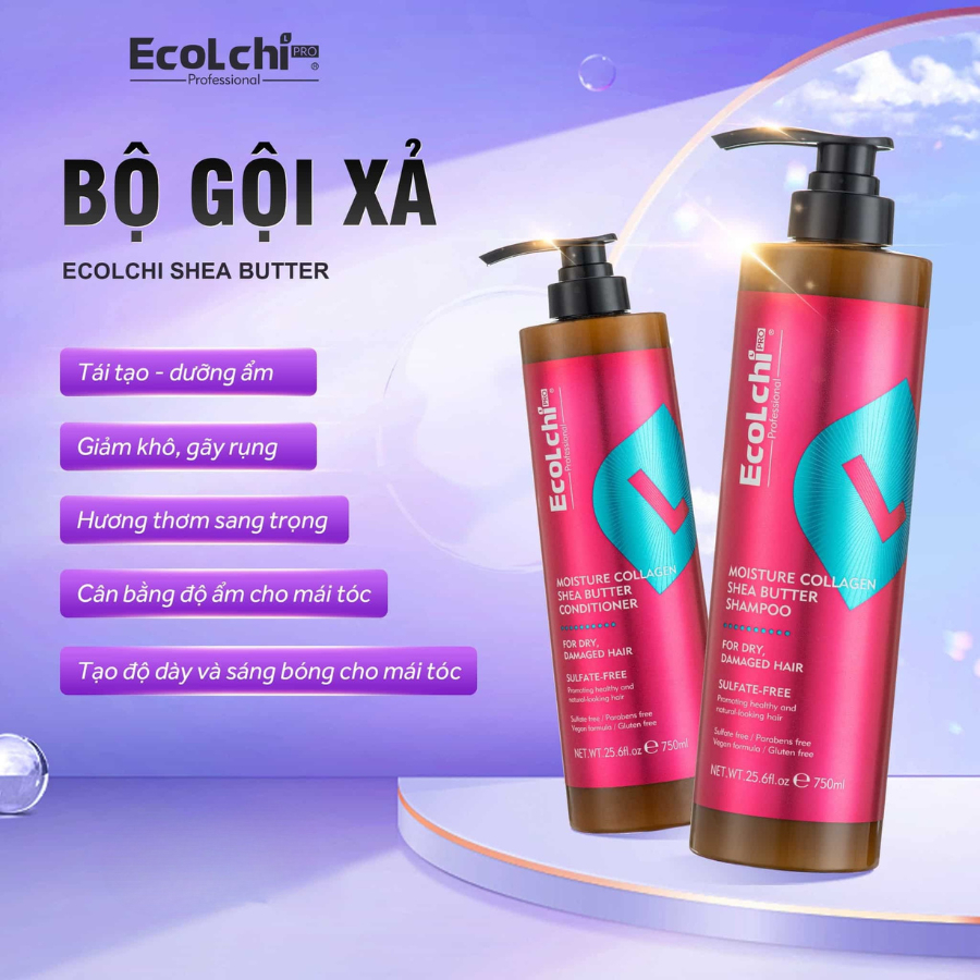 Cặp Dầu Gội Xả Ecolchi Shea Butter 750ml | Dưỡng Tóc Mềm Mượt, Cấp Ẩm Cho Tóc Khô Xơ