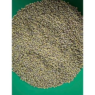 Đậu Xanh Quê Nguyên Hạt 500g – Hạt Tròn Mẩy, Không Hóa Chất, Nấu Chè Ngon