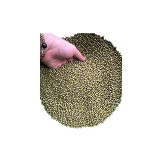 Đậu Xanh Quê Nguyên Hạt 500g – Hạt Tròn Mẩy, Không Hóa Chất, Nấu Chè Ngon