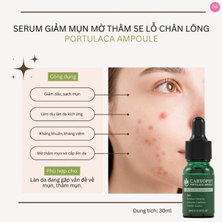 Tinh chất Serum rau má giảm mụn mờ thâm Caryophy Portulaca Ampoule 10ml và 30ml