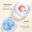 Kem Dưỡng Tái Tạo Da Chiết Xuất Collagen & Peptide – Giúp Da Căng Mịn, Hỗ Trợ Làm Mờ Nếp Nhăn
