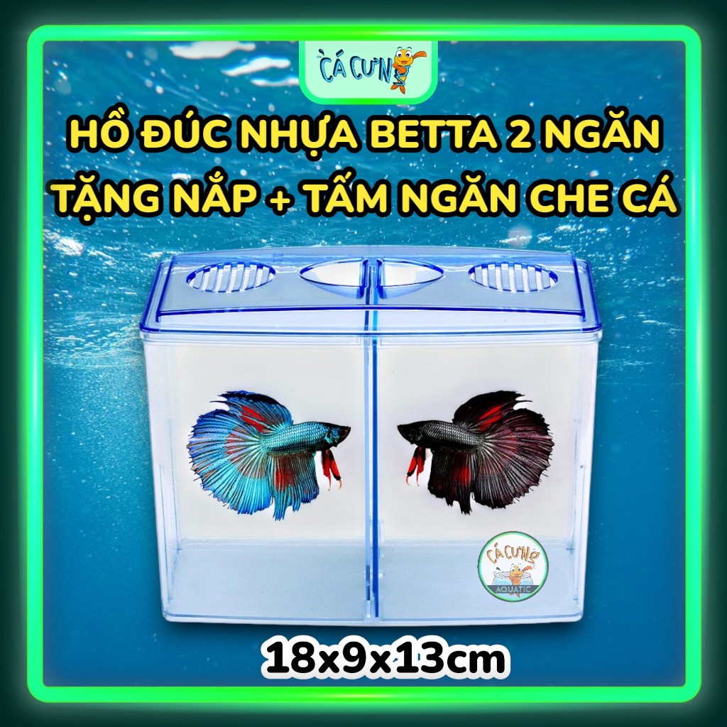 Bể Cá Mica 2 ngăn nuôi cá Betta - Hồ Betta 2 ngăn nhựa Show Betta Guppy ...