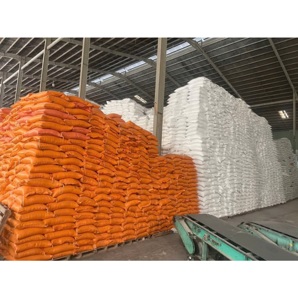 Túi 10kg - Lài Sữa Gò Công vụ mới giá cạnh tranh- dẻo mềm, thơm tự nhiên - Hạt trắng, cơm cũng trắng đẹp.