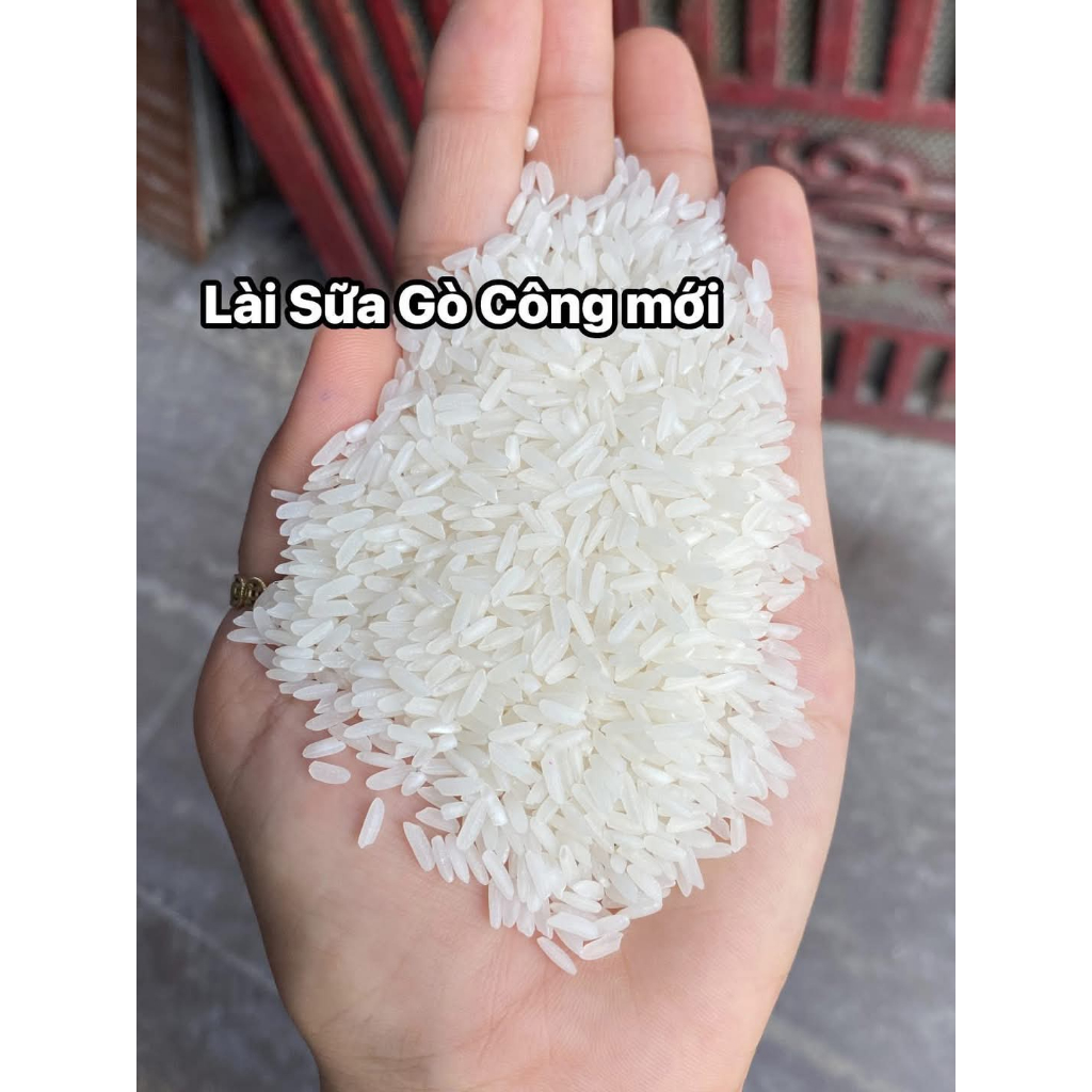 Túi 10kg - Lài Sữa Gò Công vụ mới giá cạnh tranh- dẻo mềm, thơm tự nhiên - Hạt trắng, cơm cũng trắng đẹp.