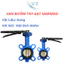 VAN BƯỚM TAY GẠT SAMWOO DN100 - DN250