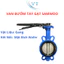VAN BƯỚM TAY GẠT SAMWOO DN100 - DN250