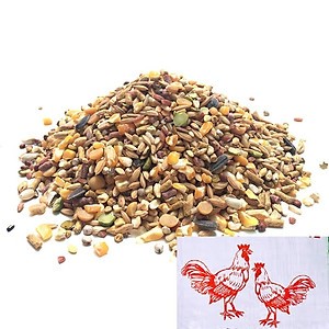 5kg Ngũ cốc xịn xò ( Giá tốt )  cho gà đá, chiến kê, bồ câu, chim, vịt -  nhiều hạt giàu protein, vitamin, khoáng chất