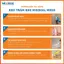 Keo trám mối nối bê tông chuyên dụng MS50
