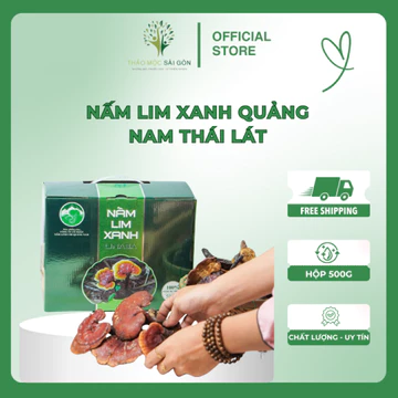 Nấm Lim Xanh Rừng LiNaSa Tự Nhiên (Quảng Nam) - Giải pháp bảo vệ Gan - Thảo Mộc Sài Gòn