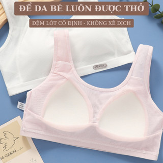 Combo 2 Áo Lá Bé Gái Dạng Lưới Thoáng Có Mút Ôm V1, Áo Lót Học Sinh Mềm Thông Hơi King Shop B-612
