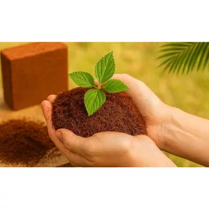 MỤN DỪA ÉP BÁNH 1KG SFARM