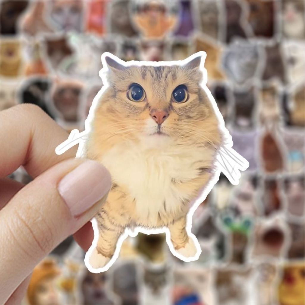 Set 90 cái sticker meme Mèo ngốc nghếch | Shopee Việt Nam
