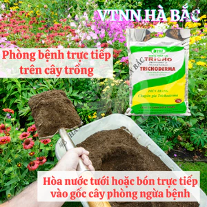 Phân vi sinh vật Trichoderma Điền Trang 1kg Ủ Rác