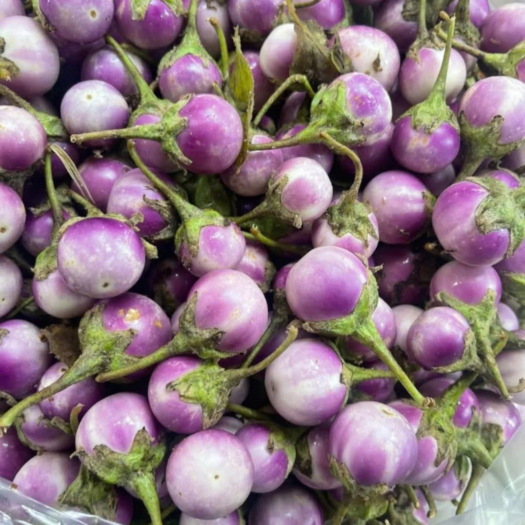 Hạt Giống Cà Pháo Tím – Dễ Trồng, Ăn Giòn Ngon