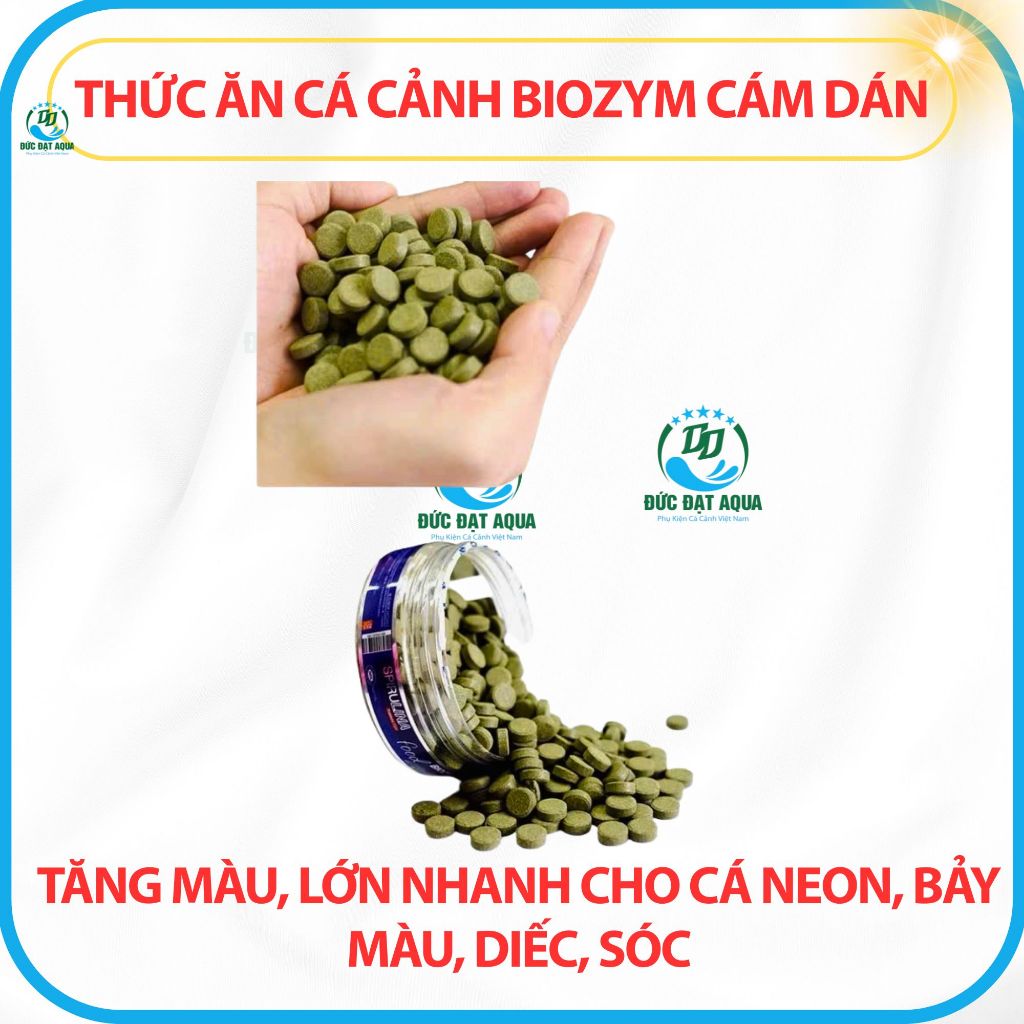 Cám dán cao cấp Biozym hộp 110g(khoảng 200 viên)- Viên Thức ăn dán bể chuyên dụng cho cá cảnh 9