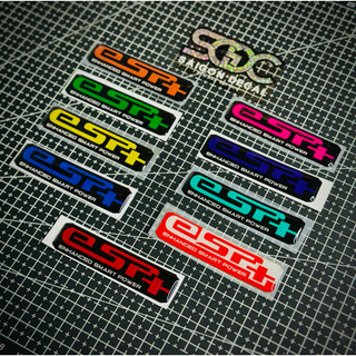 Tem Sticker Nhựa Nổi Phản Quang V2, Dán Pô E, Lọc Gió Xe Tay Ga ESP + 9 Màu Sắc |SGDC - 1 Cái|