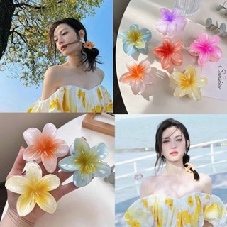 kẹp tóc hoa sứ đi biển giá tốt Tháng 5, 2026 | Mua ngay | Shopee Việt Nam