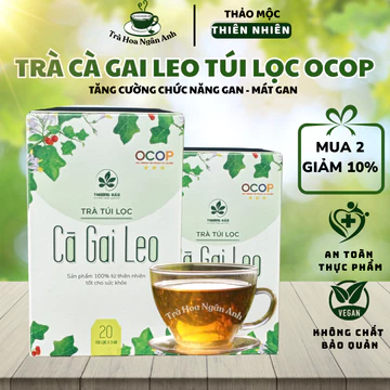 [SALE CẮT MÃ] Trà cà gai leo xạ đen túi lọc OCOP thảo mộc mát gan, thanh lọc cơ thể Trà Hoa Ngân Anh