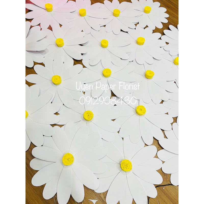 Cúc Hoạ mi khổng lồ trang trí