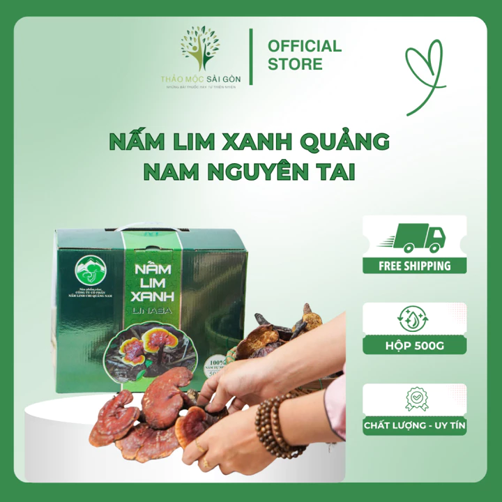 Nấm Lim Xanh RỪNG Quảng Nam {LiNaSa} Tự Nhiên (Nguyên tai) - Giải pháp bảo vệ Gan | Thảo Mộc Sài Gòn