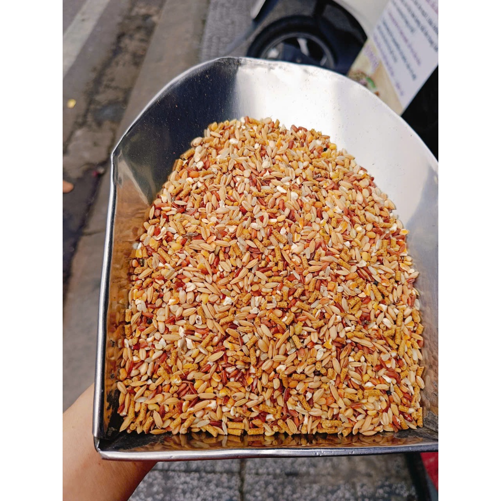 5kg Ngũ cốc xịn xò ( Giá tốt )  cho gà đá, chiến kê, bồ câu, chim, vịt -  nhiều hạt giàu protein, vitamin, khoáng chất