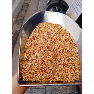5kg Ngũ cốc xịn xò ( Giá tốt )  cho gà đá, chiến kê, bồ câu, chim, vịt -  nhiều hạt giàu protein, vitamin, khoáng chất