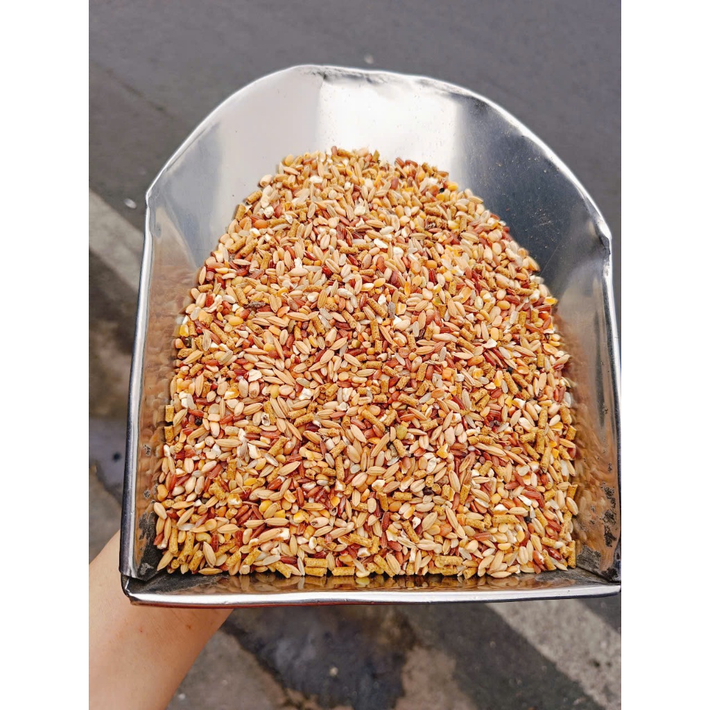 5kg Ngũ cốc xịn xò ( Giá tốt )  cho gà đá, chiến kê, bồ câu, chim, vịt -  nhiều hạt giàu protein, vitamin, khoáng chất